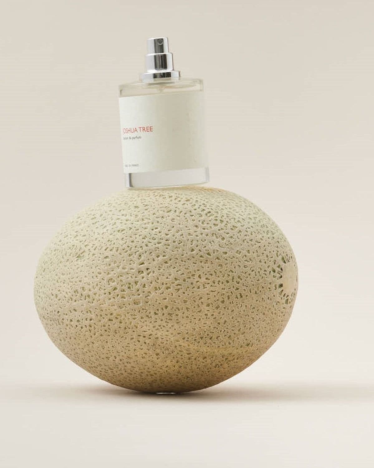 Perfume bottle (label partly obscured, appears to read a tree-themed scent name) resting atop a large melon/loofah-textured round prop, wide negative cream space to the left